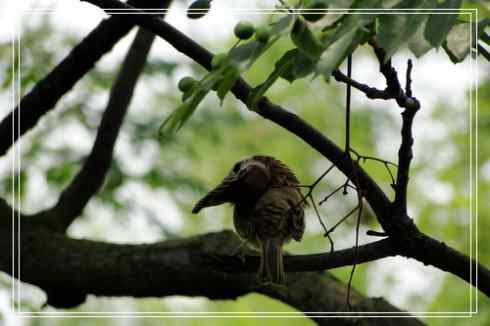 我的大生活之鈥溕隳衿濃2