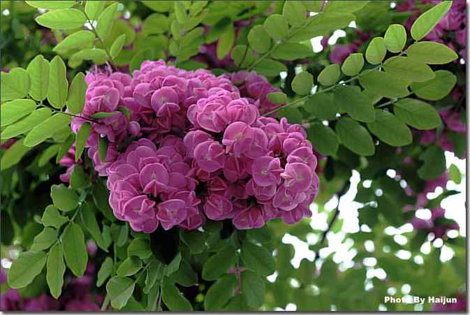  点击图片或使用键盘← →翻页