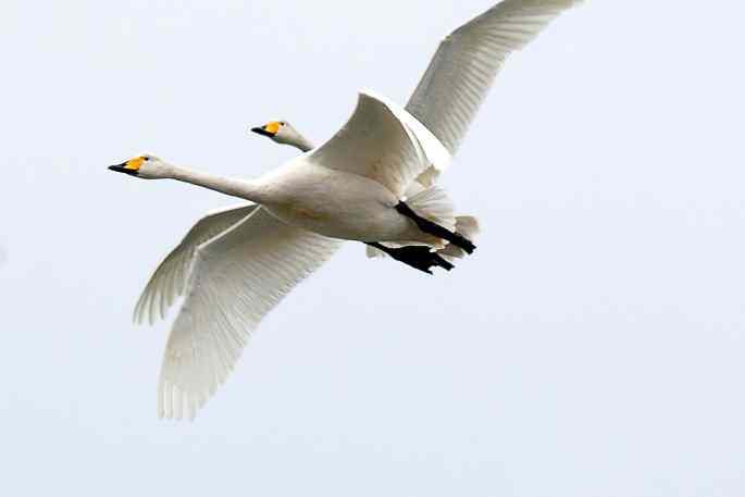 点击图片或使用键盘← →翻页