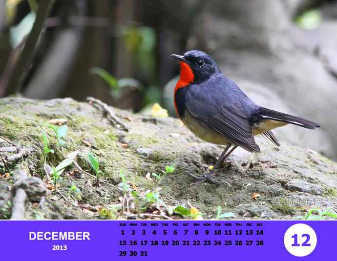 乘风追梦鈥斺斘业2012（附图）