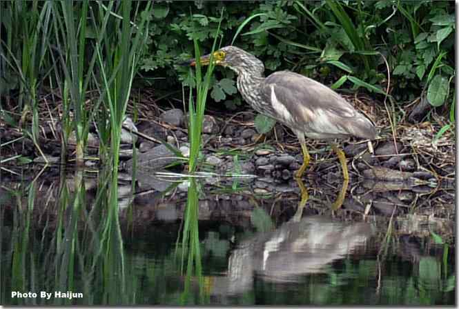  点击图片或使用键盘← →翻页