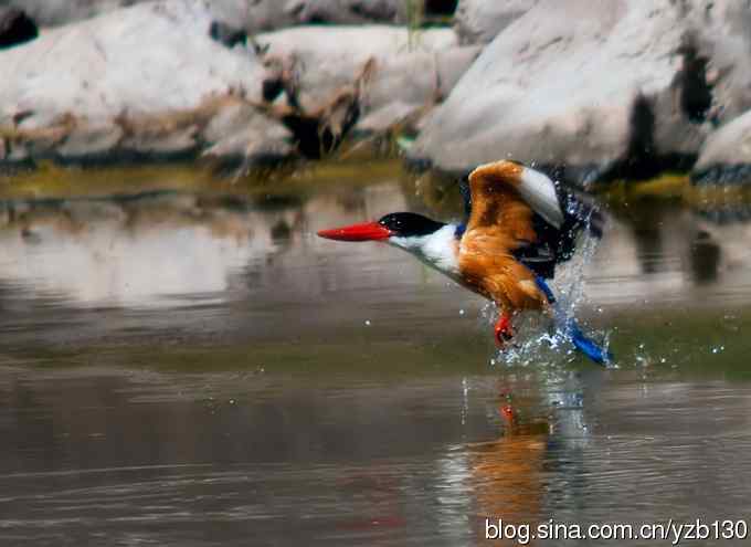 初次觐见幽州蓝妃（组图，12张图片）