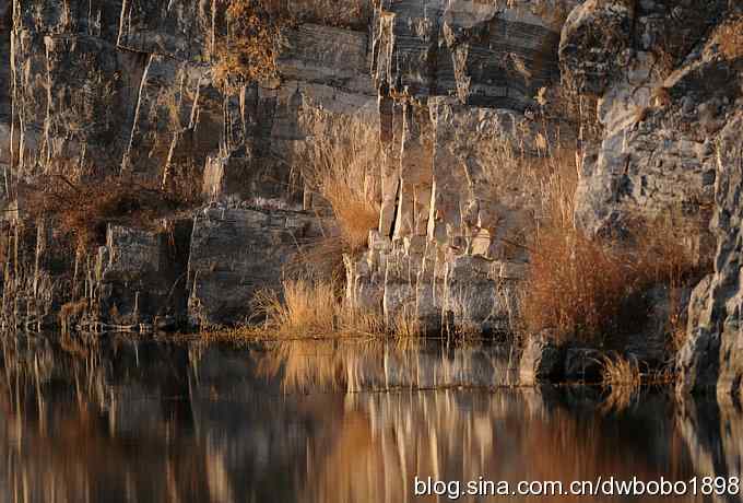 秃鹫和十渡的几只大鸟