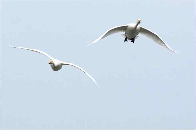 点击图片或使用键盘← →翻页