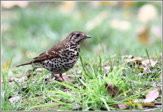 距离产生美【照片】 距离产生美【照片】