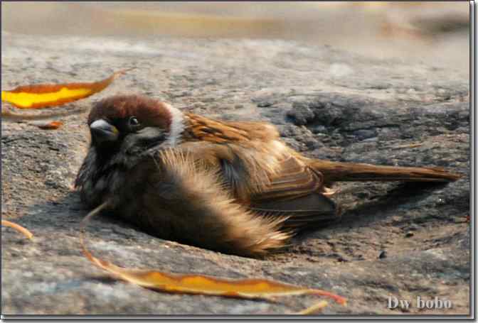 点击图片或使用键盘← →翻页