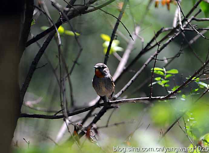 艰辛的付出愉悦的回报(日记) 艰辛的付出愉悦的回报(日记)
