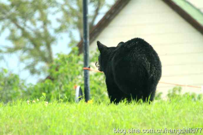 鈥湸蜮澞窆橥居龊谛
