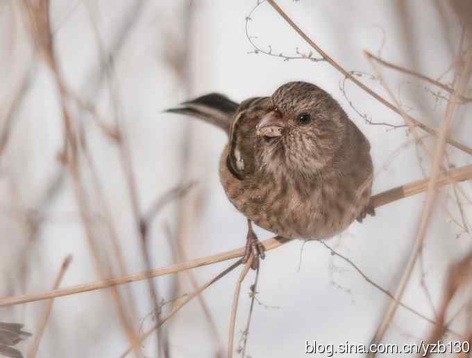 进步版鈥湷の踩糕潱ㄗ橥迹8张图片）