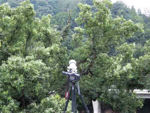 婺源之行 天望打鸟