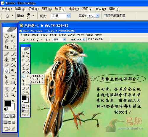 鸟片一种背景降噪的方法！