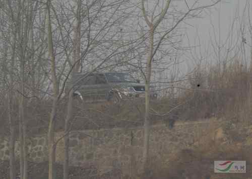 军车偷猎鸟 军人竟然打鸟