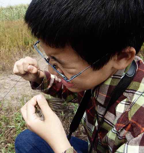 小小鸟人在行动 解救被困小鸟 小小鸟人在行动 解救被困小鸟