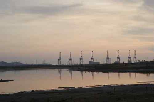 呼吁：珍惜深圳另一个“红树林”