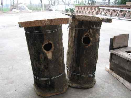 做了几个人工巢箱！！