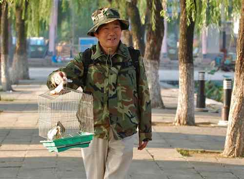 雏鸟池鹭获新生