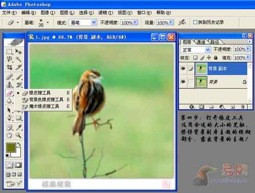 鸟片一种背景降噪的方法！