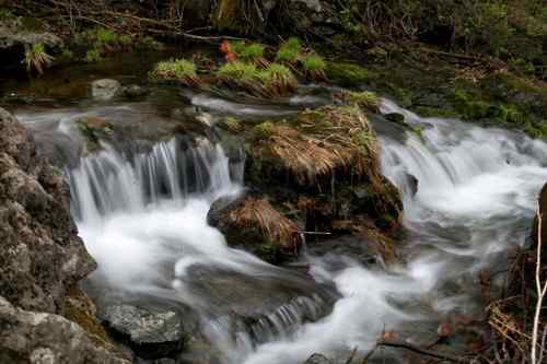 看看我长白山里的“宝贝” 看看我长白山里的“宝贝”
