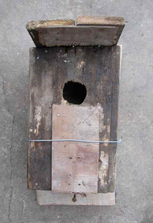 做了几个人工巢箱！！