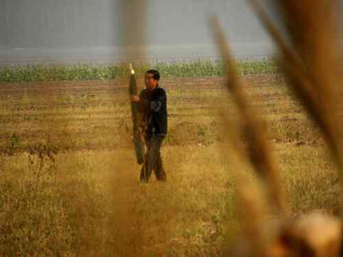 和三千红头潜鸭一起出现在三门峡的，竟是这这些恶心的捕鸟人