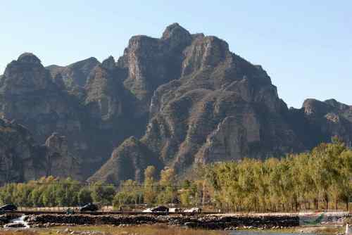 黑鹳喝啤酒 北京十渡成垃圾场