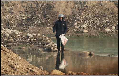 陕西眉县有人毒杀野鸭,大型涉禽类鸟 陕西眉县有人毒杀野鸭,大型涉禽类鸟