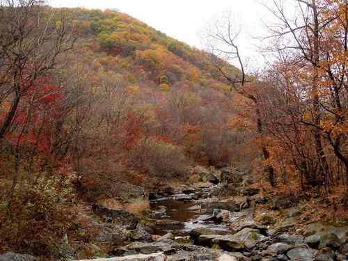 看看我长白山里的“宝贝” 看看我长白山里的“宝贝”
