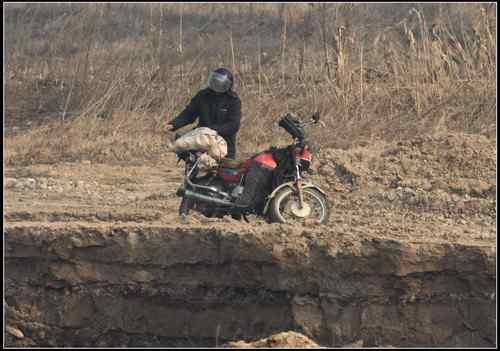 陕西眉县有人毒杀野鸭,大型涉禽类鸟 陕西眉县有人毒杀野鸭,大型涉禽类鸟