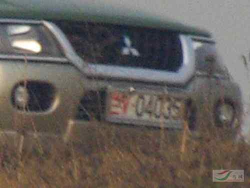 军车偷猎鸟 军人竟然打鸟