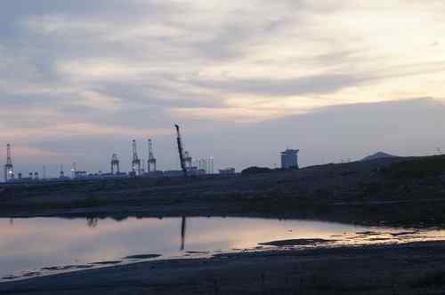 呼吁：珍惜深圳另一个“红树林”