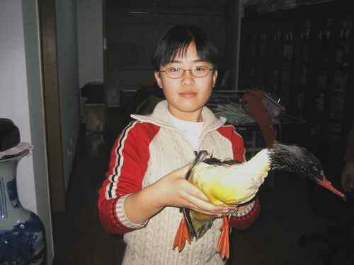 曾经救治过的野生动物