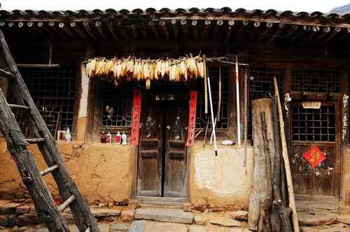 一只逝去的苍鹭 一只逝去的苍鹭