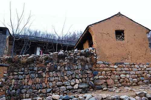 一只逝去的苍鹭 一只逝去的苍鹭