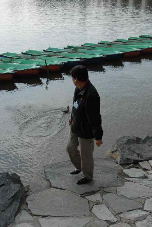 颐和园鸟人：绿头鸭蒙难获救记