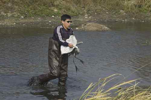 辽宁铁岭鸟人：联动救苍鹭