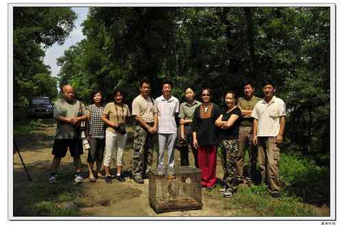 放飞记实：重伤的牛背鹭