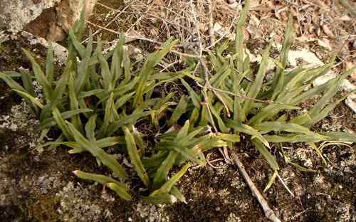 看看我长白山里的“宝贝” 看看我长白山里的“宝贝”