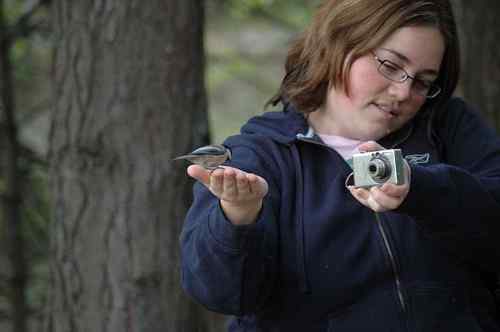 澳大利亚罕见双黄鳄鱼蛋孵出双胞胎