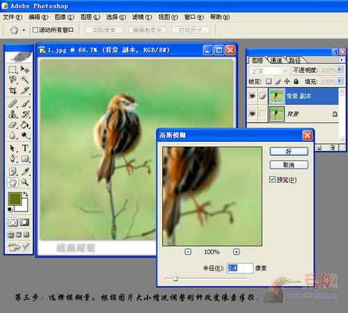 鸟片一种背景降噪的方法！