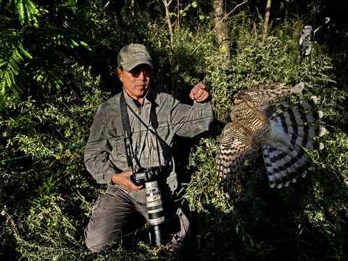 大连旅顺老铁山：发一组鸟友救鸟的照片