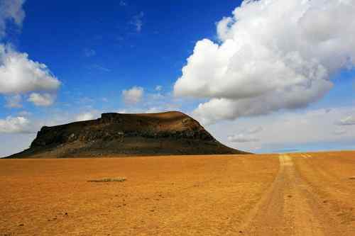 达里诺尔的国庆节：猛禽满天满地