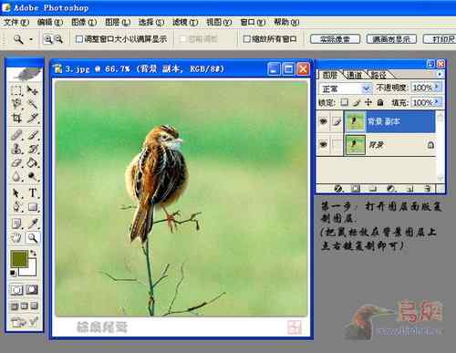 鸟片一种背景降噪的方法！