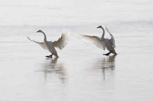 美丽的人间天使