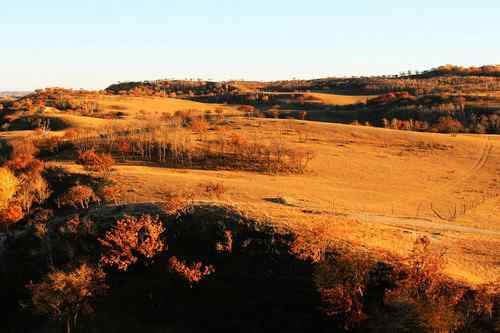 达里诺尔的国庆节：猛禽满天满地