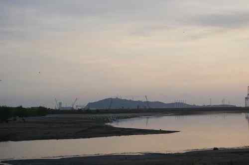 呼吁：珍惜深圳另一个“红树林”