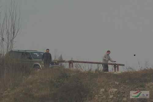 军车偷猎鸟 军人竟然打鸟