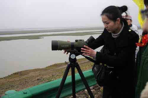 卡尔 蔡司杯第六届洞庭湖国际观鸟节盛况分享