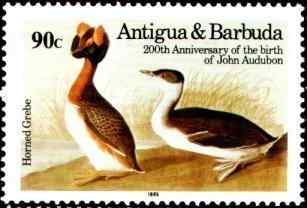 安提瓜和巴布达角鸊鷉邮票