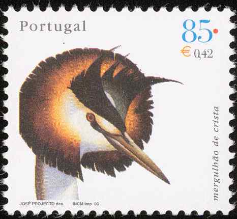 8个新保护区保护葡萄牙鸟类