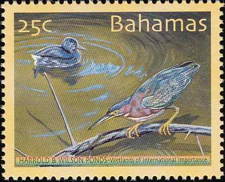 巴哈马侏鸊鷉邮票